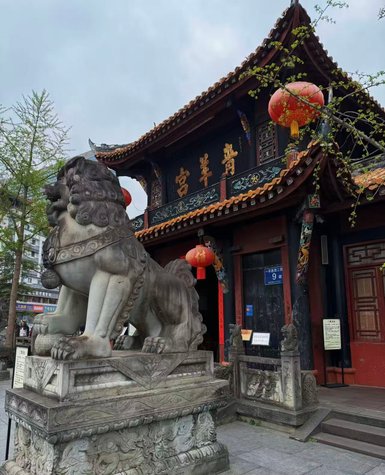 Ein majestätischer Steinlöwe bewacht den Eingang eines traditionellen chinesischen Tempels, umgeben von roten Laternen.