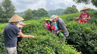 Familie erkundet gemeinsam die grünen Teeplantagen in der Umgebung von Guilin – China Familienreise