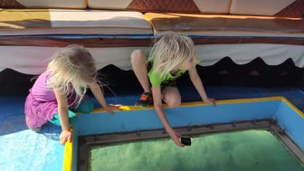 Zwei Kinder sitzen auf einem Boot und schauen fasziniert durch ein Glasfenster ins Wasser, während die Sonne scheint.