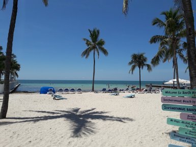 Ein sonniger Strand mit weißen Sandflächen, Liegen und Palmen, die sanft im Wind wiegen, während das Wasser glitzert.
