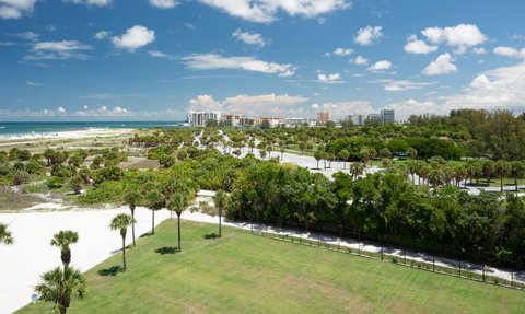 Ein weitläufiger Blick auf die Küste mit Palmen, Sandstränden und einem klaren blauen Himmel über Clearwater.