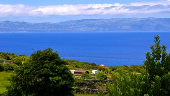 Eine atemberaubende Küstenlandschaft der Azoren mit tiefblauem Wasser und sanften Hügeln im Hintergrund.