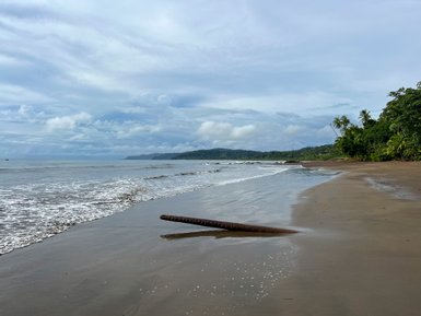 Friedlicher Strand mit sanften Wellen in Drake Bay – Costa Rica Reise mit Kindern