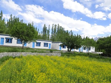 In der Nubra-Region stehen weiße Cottages mit blauen Fenstern vor einer blühenden gelben Blumenwiese und grünen Bäumen.