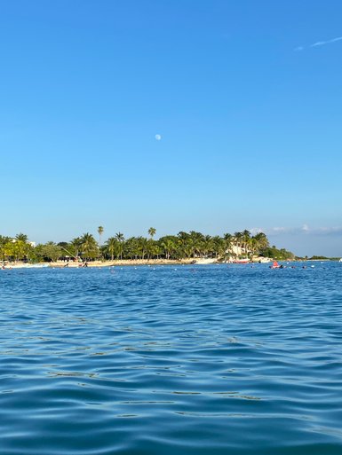 Klare Lagune in Akumal mit Palmen am Ufer – Mexiko Familienreise