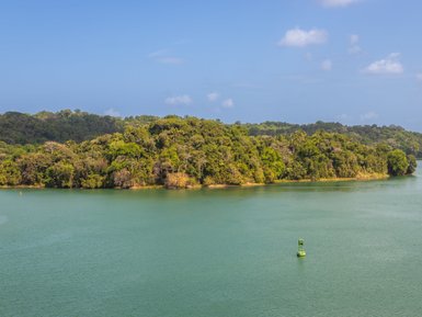 Ein ruhiger See umgeben von üppigem, grünem Wald, mit einem kleinen grünen Bojen-Marker in der Mitte des Wassers.