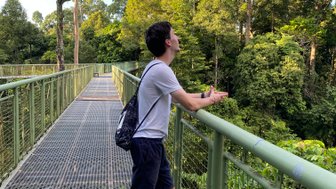Junge steht auf einer Metallbrücke und blickt gespannt in den Regenwald im Sepilok Rainforest Discovery Centre – Malaysia & Borneo Familienreise