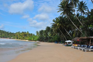 Blick auf den tropischen Strand beim Mirissa Beach Inn mit Palmen – Sri Lanka Familienreise