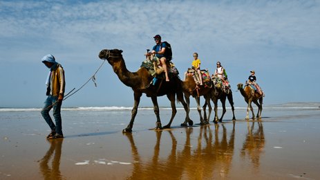 Kamelritt für die ganze Familie entlang des Atlantikstrands von Sidi Kaouki – Familienreise nach Marokko