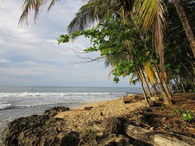Tropische Palmen, markante Felsen und Sandstrand an der Karibikküste bei Puerto Viejo – Costa Rica Reise mit Kindern