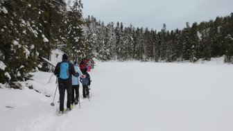 Eine Gruppe von Menschen wandert mit Schneeschuhen durch eine verschneite Landschaft, umgeben von hohen, schneebedeckten Bäumen.
