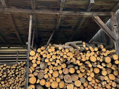 Ein Holzlager unter einem Dach, gefüllt mit ordentlich gestapeltem, geschnittenem Holz, das auf eine ländliche Umgebung hinweist.