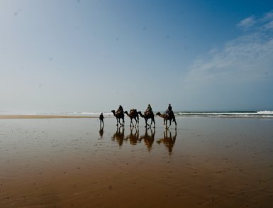 Kamelritt entlang des malerischen Strands von Sidi Kaouki – Marokko mit Kindern