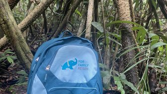 Ein blauer Rucksack steht auf dem Boden des Dschungels, umgeben von dichten, grünen Pflanzen und Baumstämmen.