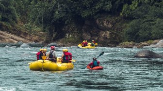 Eine Gruppe von Menschen paddelt in gelben Rafts auf einem ruhigen Fluss, umgeben von üppiger, grüner Vegetation.