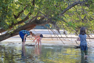 Zwei Kinder knien im flachen Wasser und erkunden den Boden, während ein drittes Kind im Hintergrund steht und zuschaut.