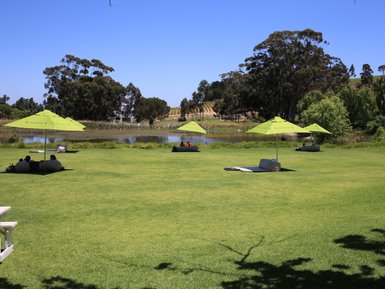 Grüne Wiesen und entspannte Atmosphäre auf einem Weingut in Stellenbosch – Garden Route Reise mit Kindern