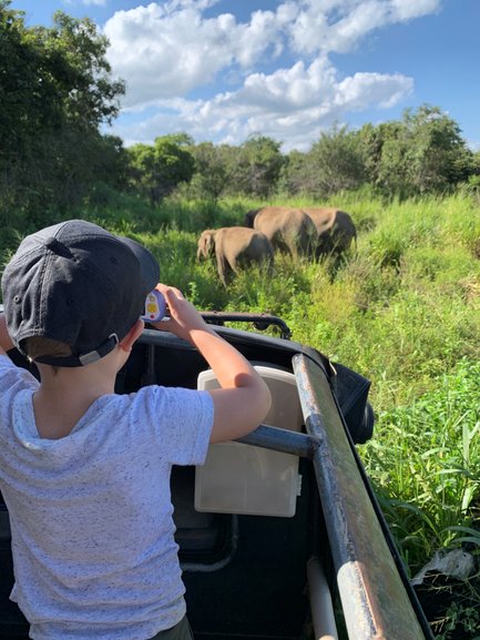 Kind hält die Safari-Erlebnisse im Minneriya Nationalpark mit der Kamera fest – Sri Lanka Reise mit Kindern