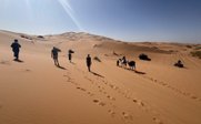 Eine Gruppe von Menschen wandert durch die weite, sandige Wüste, während die Sonne hell am Himmel scheint.