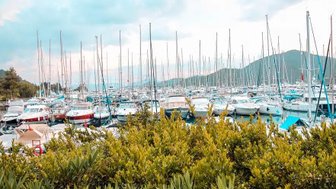 Ein geschäftiger Yachthafen mit zahlreichen Booten, umgeben von grünen Pflanzen und sanften Hügeln im Hintergrund.