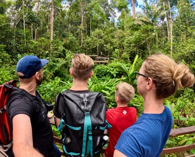 Familie besucht das Semenggoh Wildlife Center – Malaysia & Borneo Familienreise