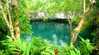Ein ruhiger Lagunenblick, umgeben von üppigem Grün und bunten Pflanzen, lädt zum Entspannen und Erkunden ein.