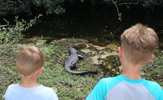 Zwei Kinder beobachten fasziniert einen Alligator, der sich am Ufer eines Gewässers sonnt, umgeben von üppigem Grün.