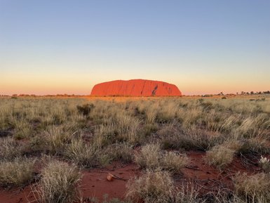 Ayers Rock strahlt in der Abenddämmerung, umgeben von sanften, grasbewachsenen Hügeln und dem klaren Himmel im Hintergrund.