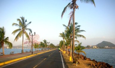 Eine malerische Küstenstraße in Panama City, gesäumt von Palmen und blühenden Bäumen, die zum Meer führt.