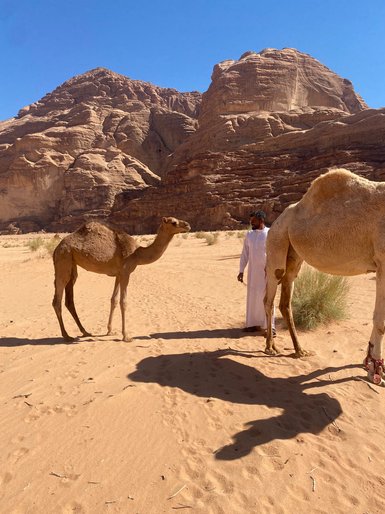 Besitzer mit Kamelen in der Wadi Rum Wüste - Jordanien mit Kindern