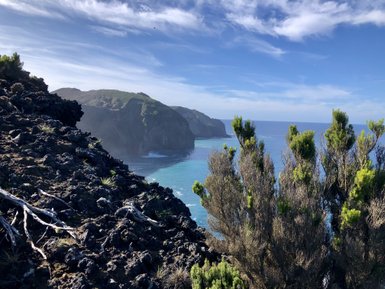 Eine atemberaubende Küstenlandschaft mit schroffen Klippen und klarem, blauem Wasser, umgeben von üppiger Vegetation.