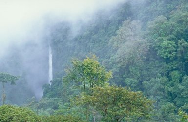 Wasserfall umgeben von dichtem Grün im Nebelwald von Monteverde – Costa Rica Reise mit Kindern