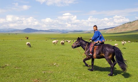 Ein fröhlicher Junge reitet auf einem schwarzen Pferd über eine grüne Wiese, umgeben von Schafen und Bergen im Hintergrund.