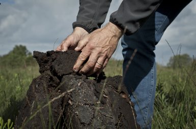 Hände eines Mannes, die frischen Torf in einer grünen Landschaft greifen, umgeben von Gras und einem bewölkten Himmel.