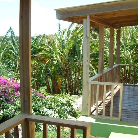 Ein Blick von einer Holzveranda auf üppige grüne Pflanzen und bunte Bougainvillea-Blüten im Vordergrund.