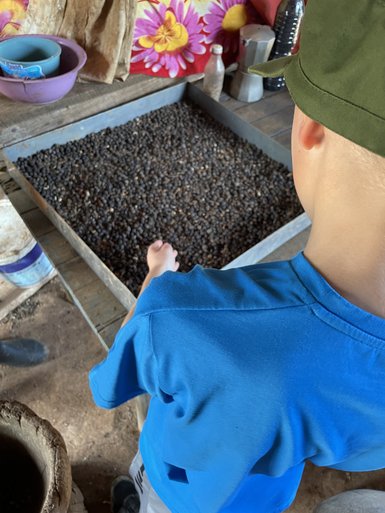 Ein Junge in einem blauen T-Shirt steht vor einer großen Schale mit Kaffeebohnen und betrachtet sie neugierig.