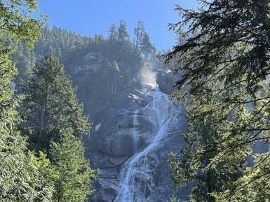 Ein majestätischer Wasserfall stürzt über felsenartige Klippen, umgeben von üppigem, grünem Wald.