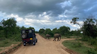 Elefantenherde läuft direkt am Jeep im Udawalawe Nationalpark vorbei – Sri Lanka Reise mit Kindern