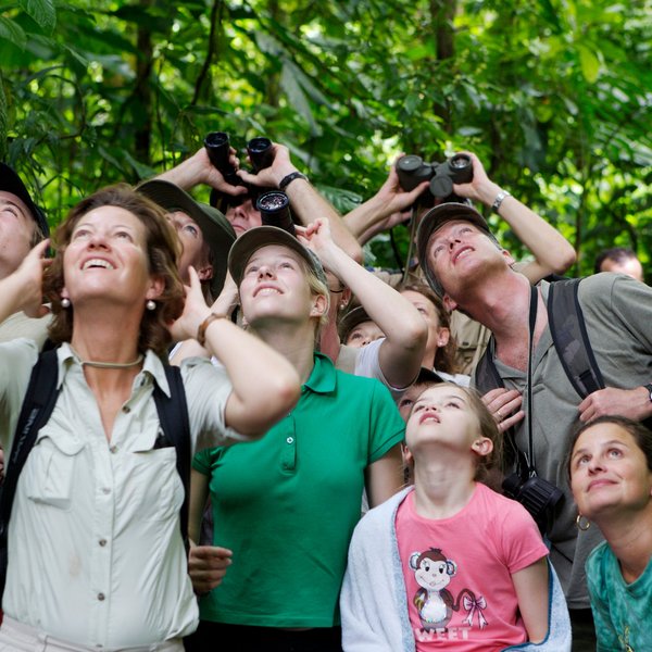 Familien beobachten aufmerksam die Tierwelt mit Ferngläsern im Regenwald – Costa Rica Familienreise