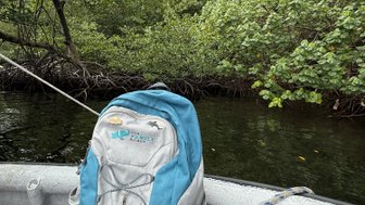 Ein blauer Rucksack steht auf dem Boot, umgeben von üppigem Grün und ruhigem Wasser zwischen den Mangroven.
