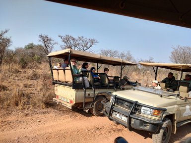 Mehrere Familien sitzen in offenen Safari-Jeeps und erkunden das Entabeni Game Reserve – Südafrika Reise mit Kindern
