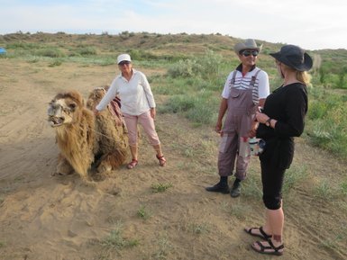 Eine Frau steht neben einem Kamel, während sie mit einem Mann und einer anderen Frau in der Wüste spricht.