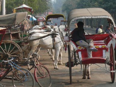 Eine belebte Straße in Indien, auf der Pferdekutschen und Fahrräder nebeneinander stehen, während Menschen vorbeigehen.