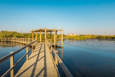 Stege im Feuchtgebiet - Jordanien Familienurlaub