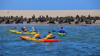 Drei Kayaks im Meer mit Robben im Hintergrund - Namibia Familienurlaub