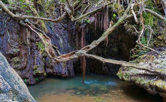 Ein versteckter Wasserfall fließt sanft in ein ruhiges, klares Becken, umgeben von moosbedeckten Felsen und dichten Ästen.