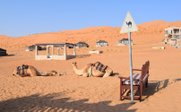 Zwei Kamele ruhen sich im Sand aus, während ein Warnschild auf die Anwesenheit von Kamelen hinweist.