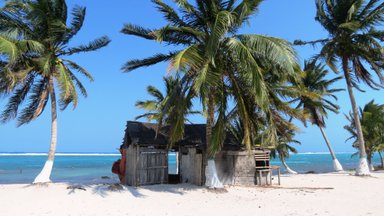 Ein verfallenes Holzhaus steht am Strand, umgeben von hohen Palmen und dem glitzernden blauen Wasser des Meeres.