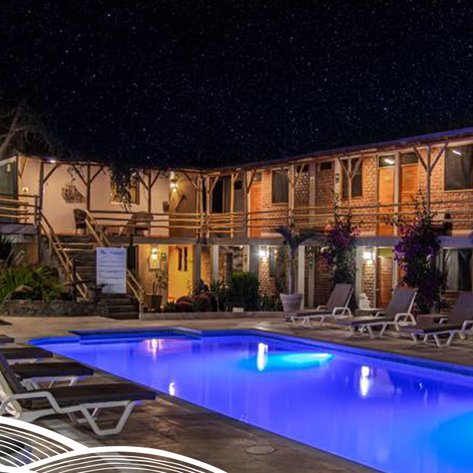 Ein einladender Hotelpool unter einem klaren Sternenhimmel, umgeben von gemütlichen Liegen und blühenden Pflanzen.