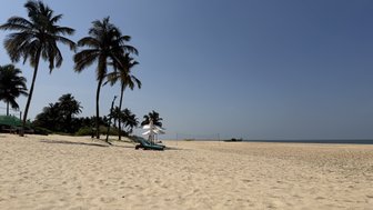 Ein ruhiger Strand in Goa mit feinem, hellem Sand und hohen Palmen, die sanft im Wind wiegen.